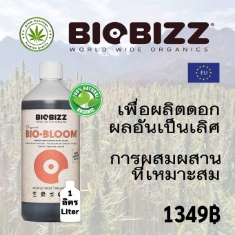 biobizz-bloom-siam-cuttings