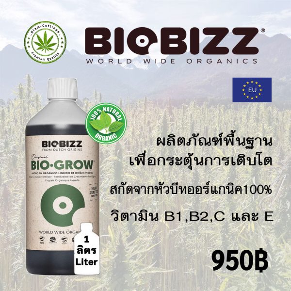 BioBizz Grow Siam cuttings