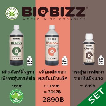 siam-cuttings-Biobizz-Base-set-grow,-bloom,-root-juice