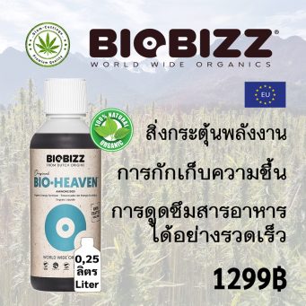 siam cutttings-biobizz-heaven-0,25