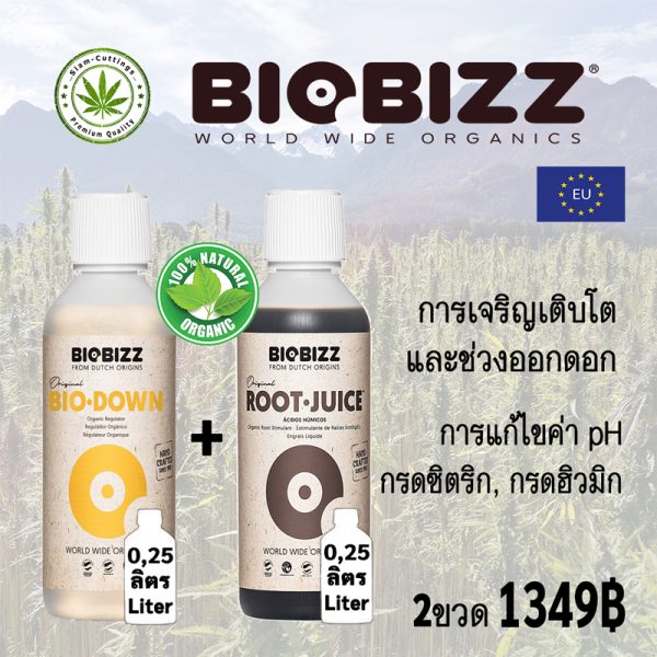 siam-cuttings biobizz-set-ph-minus-+-rootjuice