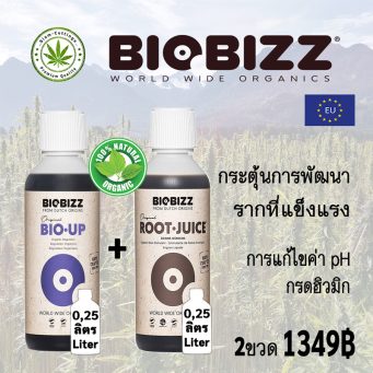 siam-cuttings biobizz-set-ph-plus+-rootjuice